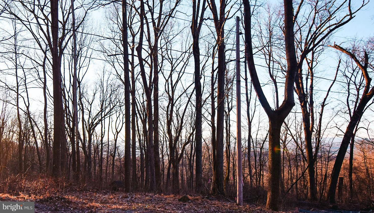 1631 High Top Road Linden, VA 22642 - Photo 5 of 84 Great views from Lot