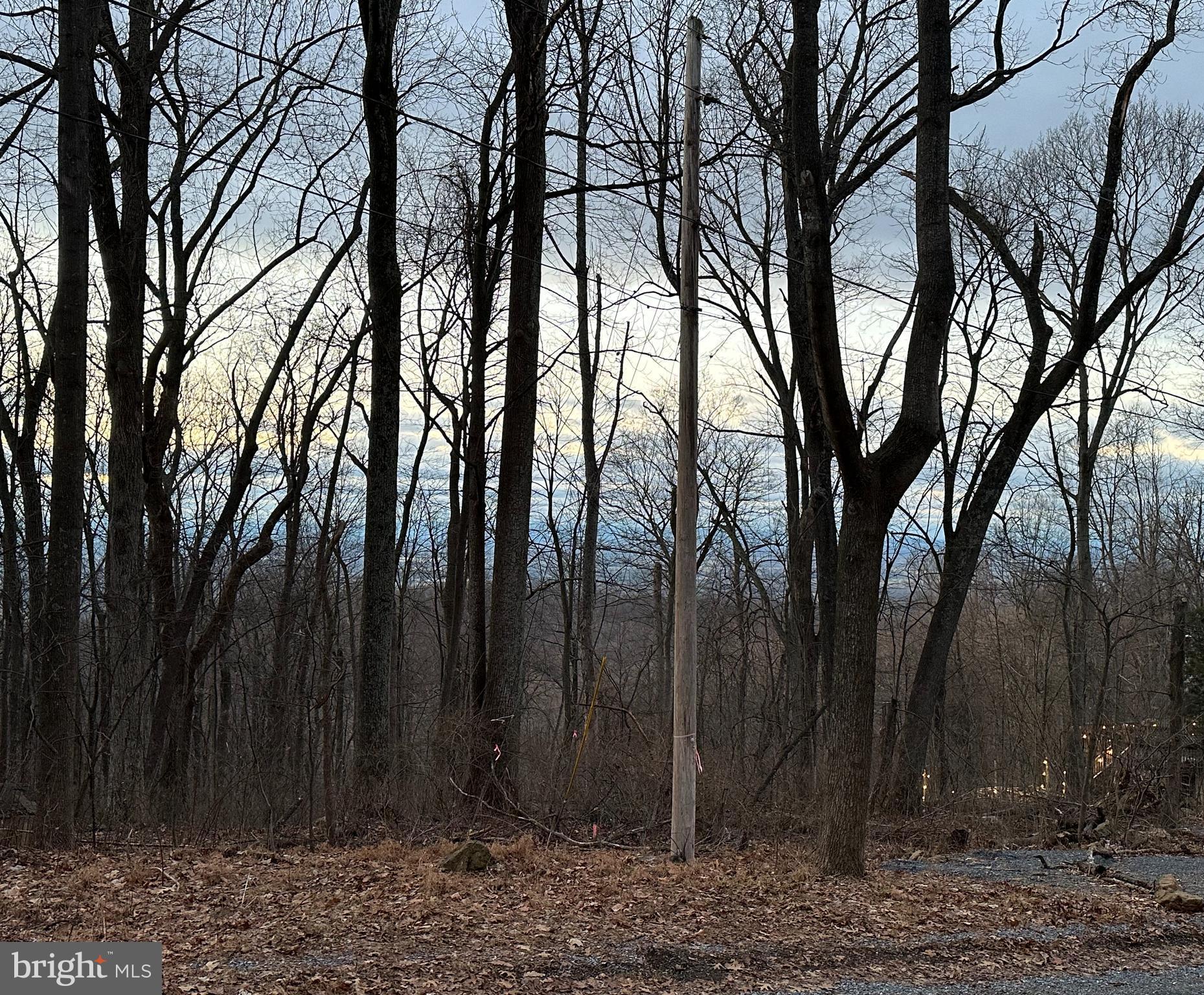 1631 High Top Road Linden, VA 22642 - Photo 6 of 84 Wonderful sunsets too!