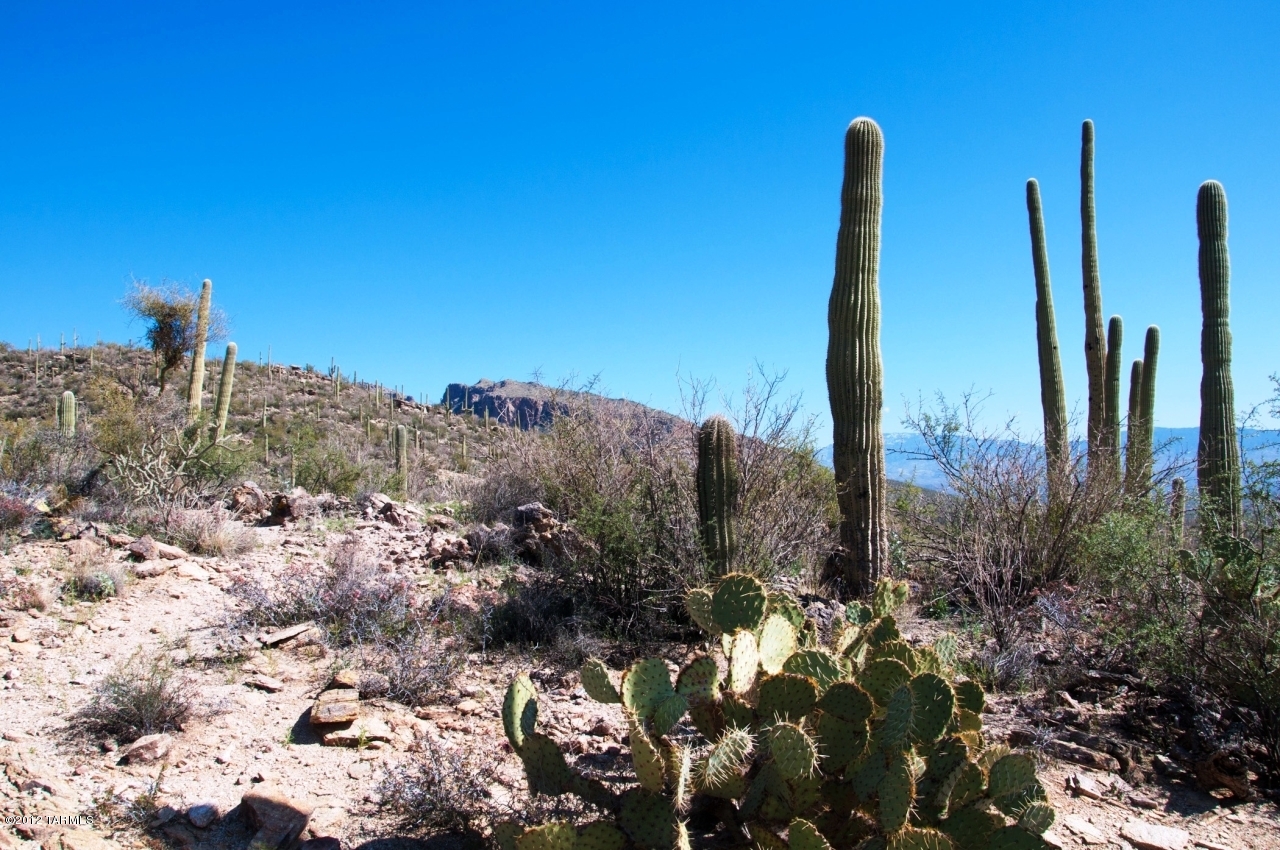 6444 North Rattlesnake Canyon Road, Unit 6 Tucson, AZ 85750 - Photo 18 of 20