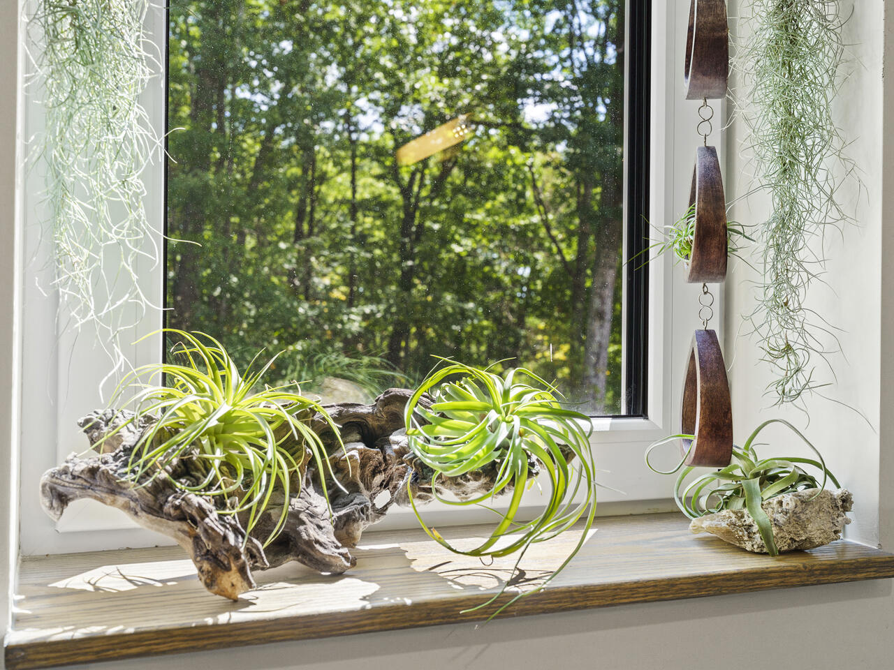 431 Sennett Road Jefferson, ME 04348 - Photo 73 of 87 52-431 Sennette Rd, Jefferson, ME-TP adj