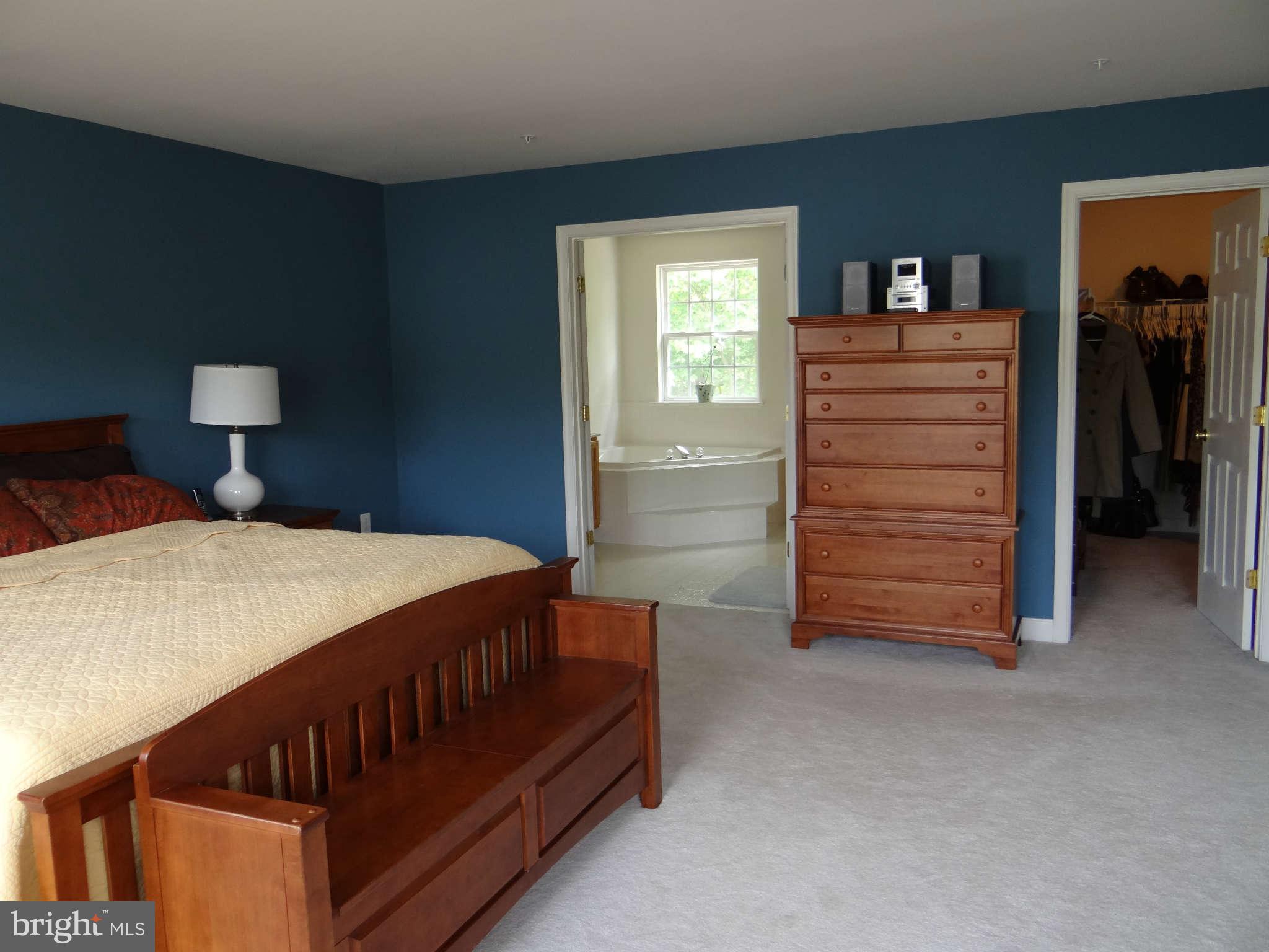 8809 Sumner Grove Drive Laurel, MD 20708 - Photo 18 of 30 Bedroom (Master) View to Bath & Walk-in Closet