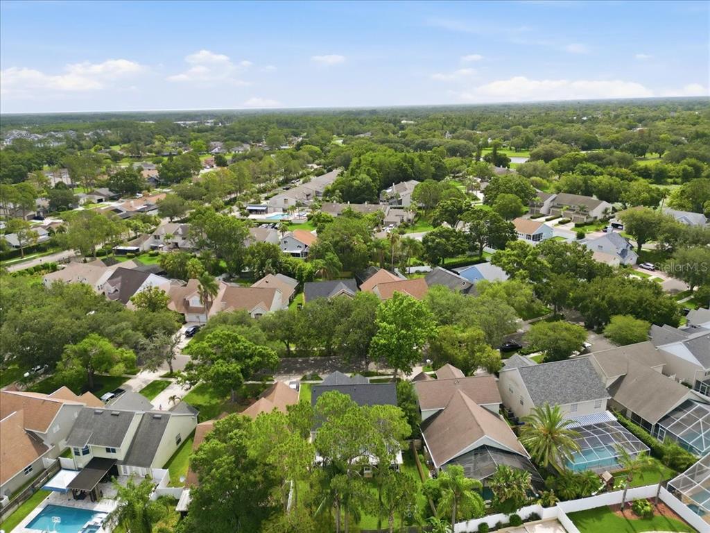 14518 Nettlecreek Road Tampa, FL 33624 - Photo 50 of 54