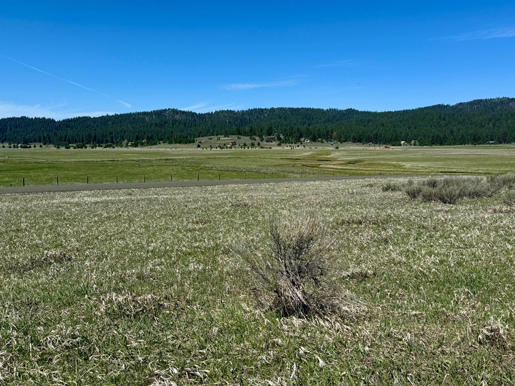 L3-b1 Lantern Way, Unit 3 Cascade, ID 83611 - Photo 11 of 15 View Along Lantern Way
