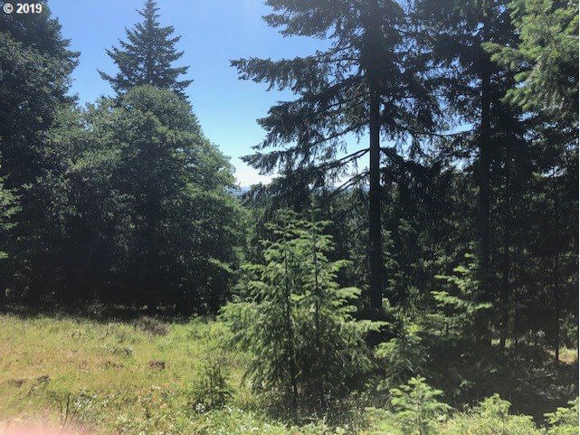 Godberson Road Mosier, OR 97040 - Photo 12 of 16 Gallery Image 12