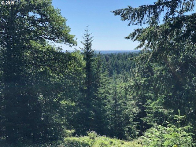 Godberson Road Mosier, OR 97040 - Photo 13 of 16 Gallery Image 13