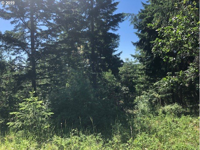 Godberson Road Mosier, OR 97040 - Photo 14 of 16 Gallery Image 14