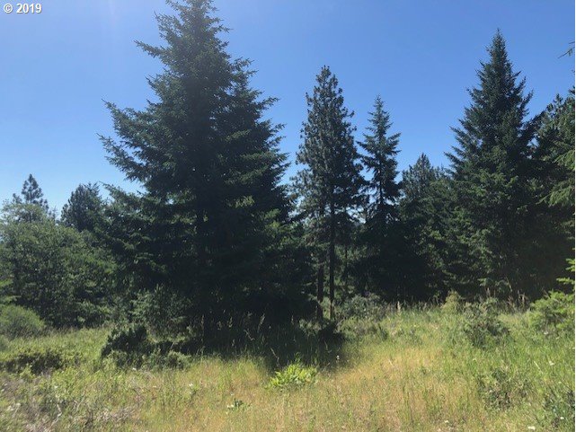 Godberson Road Mosier, OR 97040 - Photo 15 of 16 Gallery Image 15