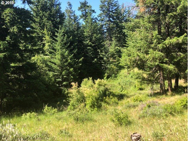 Godberson Road Mosier, OR 97040 - Photo 16 of 16 Gallery Image 16
