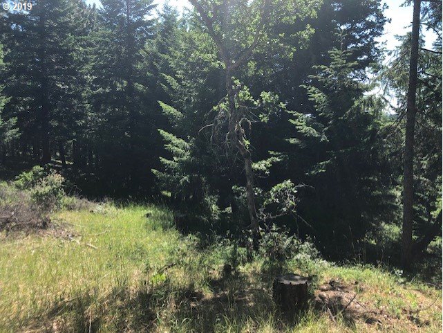 Godberson Road Mosier, OR 97040 - Photo 9 of 16 Gallery Image 9