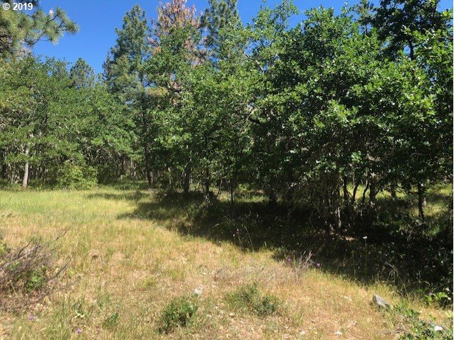 Godberson Road Mosier, OR 97040 - Photo 10 of 16 Gallery Image 10