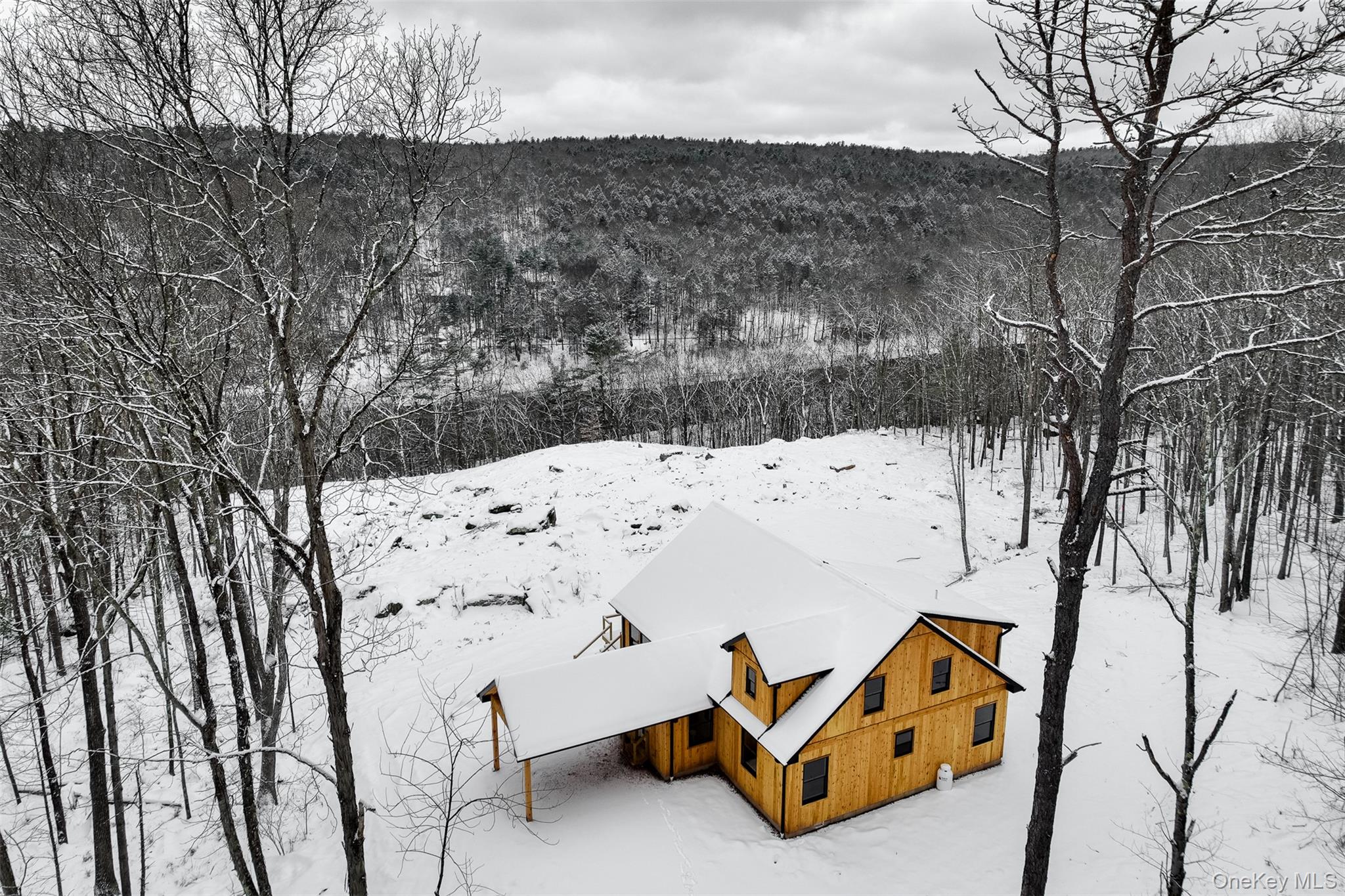 283 Humphrey Road Narrowsburg, NY 12764 - Photo 3 of 36