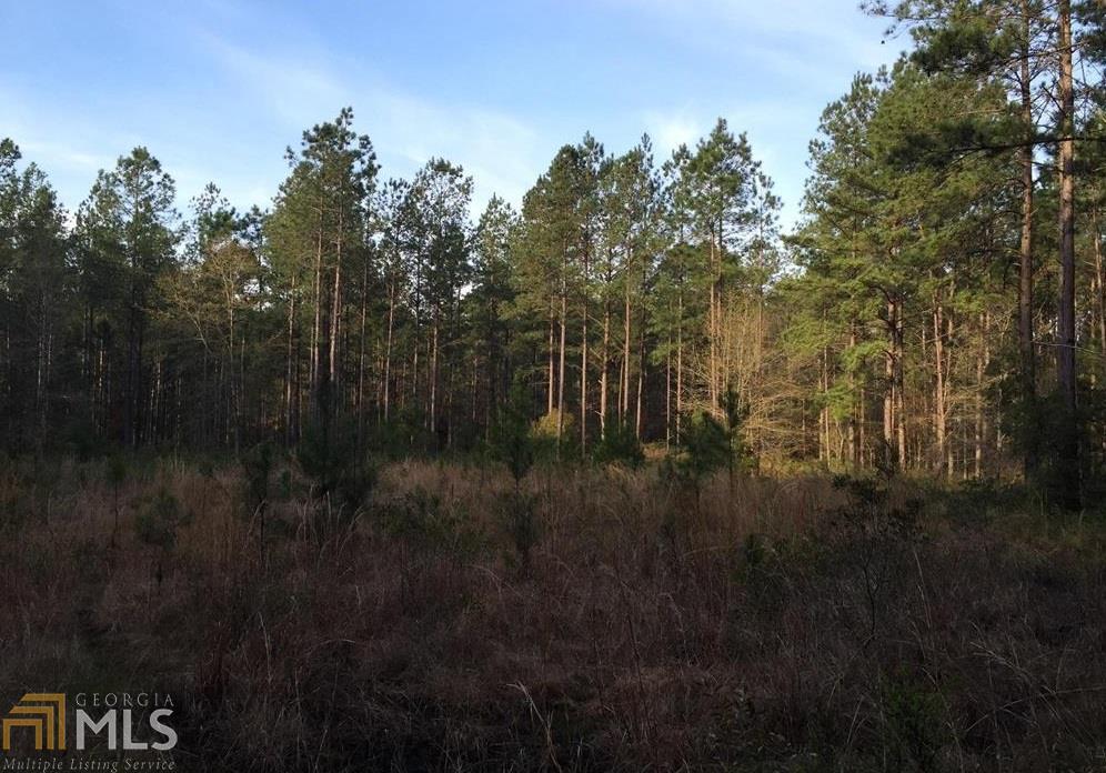 348 Burkhalter Road Statesboro, GA 30458 - Photo 1 of 1 Gallery Image 1