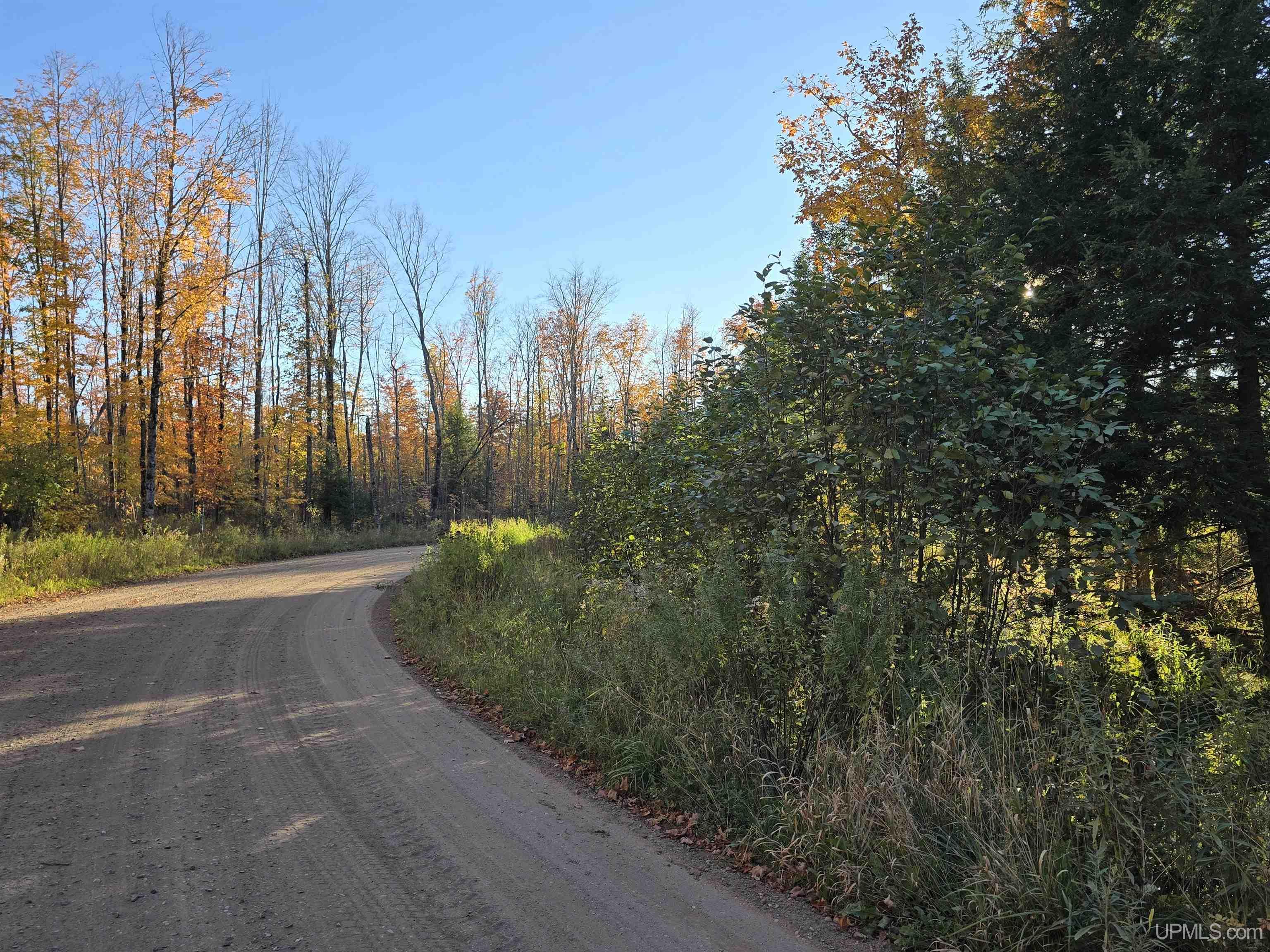 Tbd Beartown Road Baraga, MI 49908 - Photo 30 of 32 Gallery Image 30