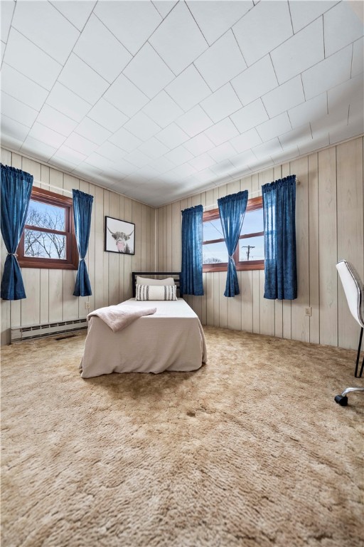 121 Cuddeback Road Phelps, NY 14532 - Photo 23 of 43