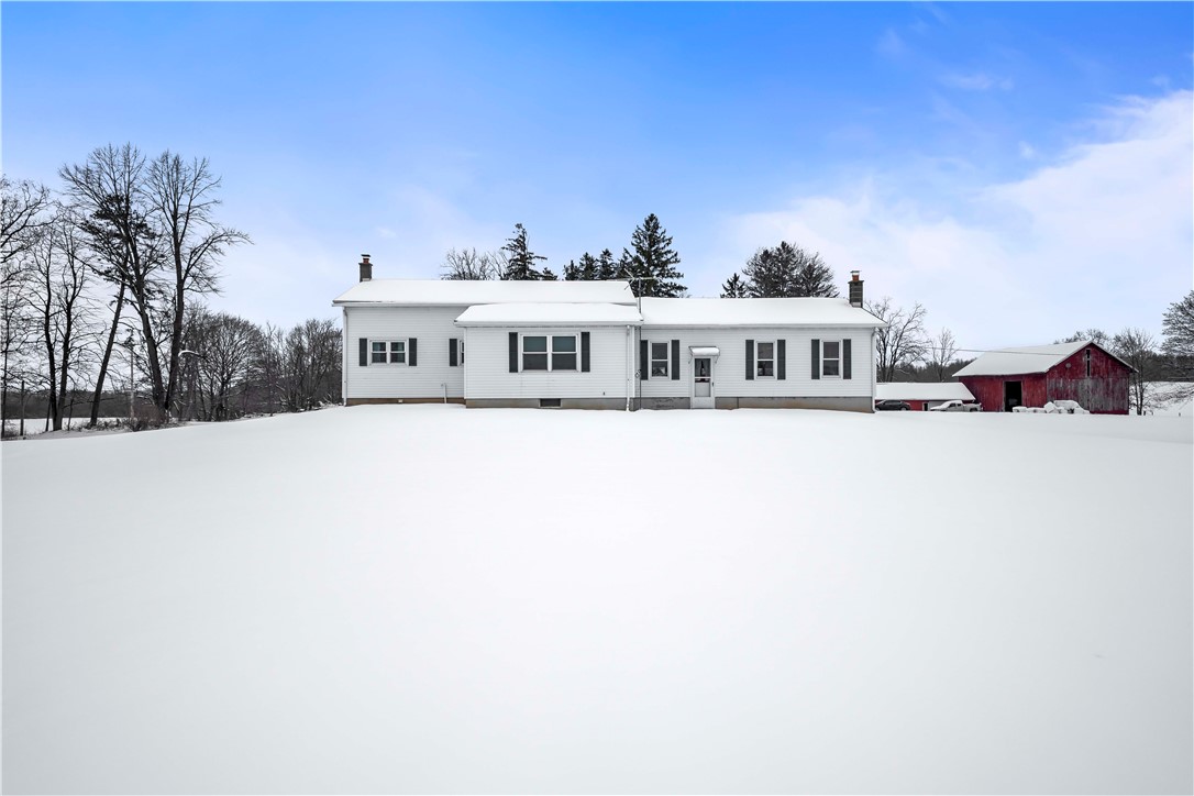 121 Cuddeback Road Phelps, NY 14532 - Photo 3 of 43 Back view of house