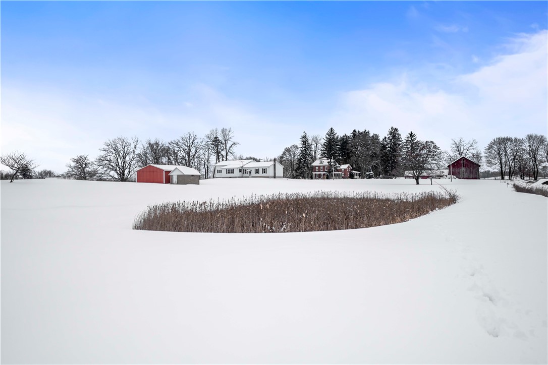 121 Cuddeback Road Phelps, NY 14532 - Photo 35 of 43 Pond
