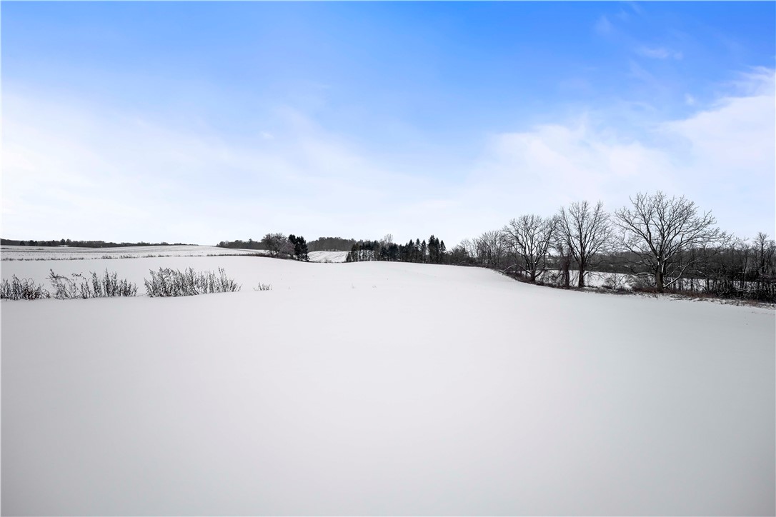 121 Cuddeback Road Phelps, NY 14532 - Photo 38 of 43