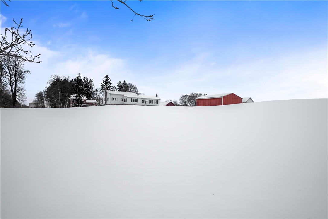 121 Cuddeback Road Phelps, NY 14532 - Photo 5 of 43