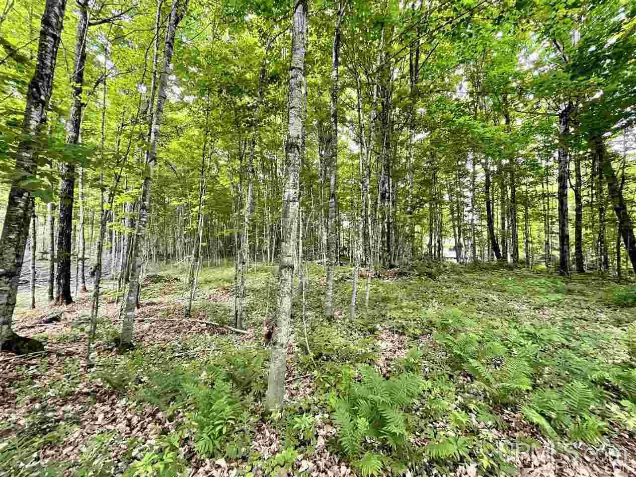 Tbd Silver Road Michigamme, MI 49861 - Photo 2 of 3
