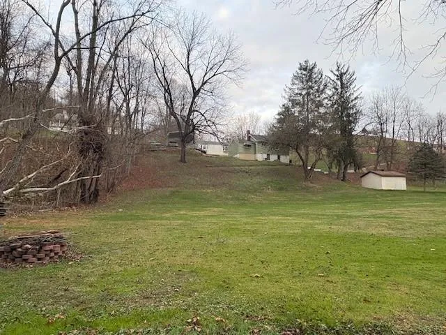 a garden view with a fountain