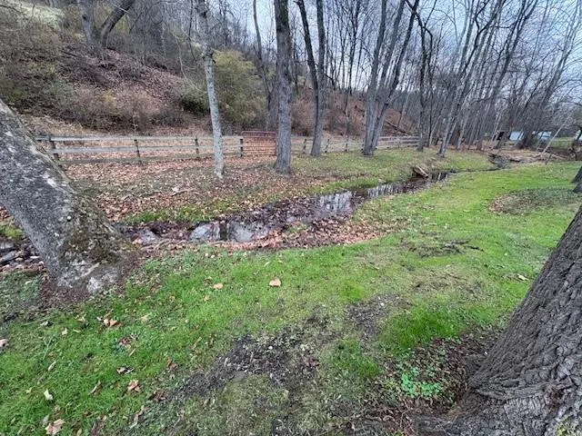 a view of a backyard with trees