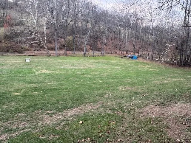 a view of a backyard with large trees