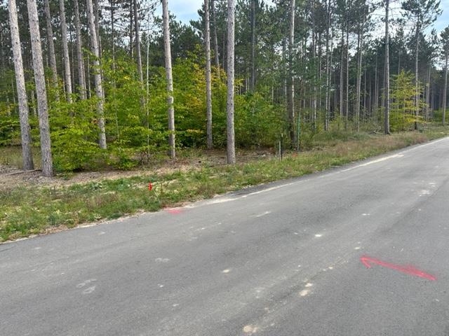 Lot 38 Cascade Trail Traverse City, MI 49685 - Photo 6 of 11