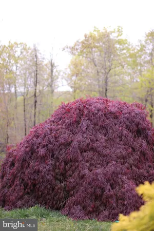 $949,000 | 4752 Greene Love Lane, Marshall, VA 20115