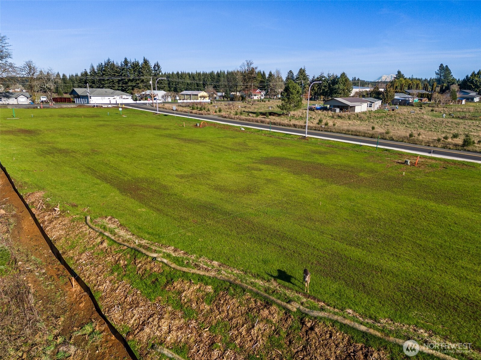 423 Kakela Road Winlock, WA 98596 - Photo 34 of 38