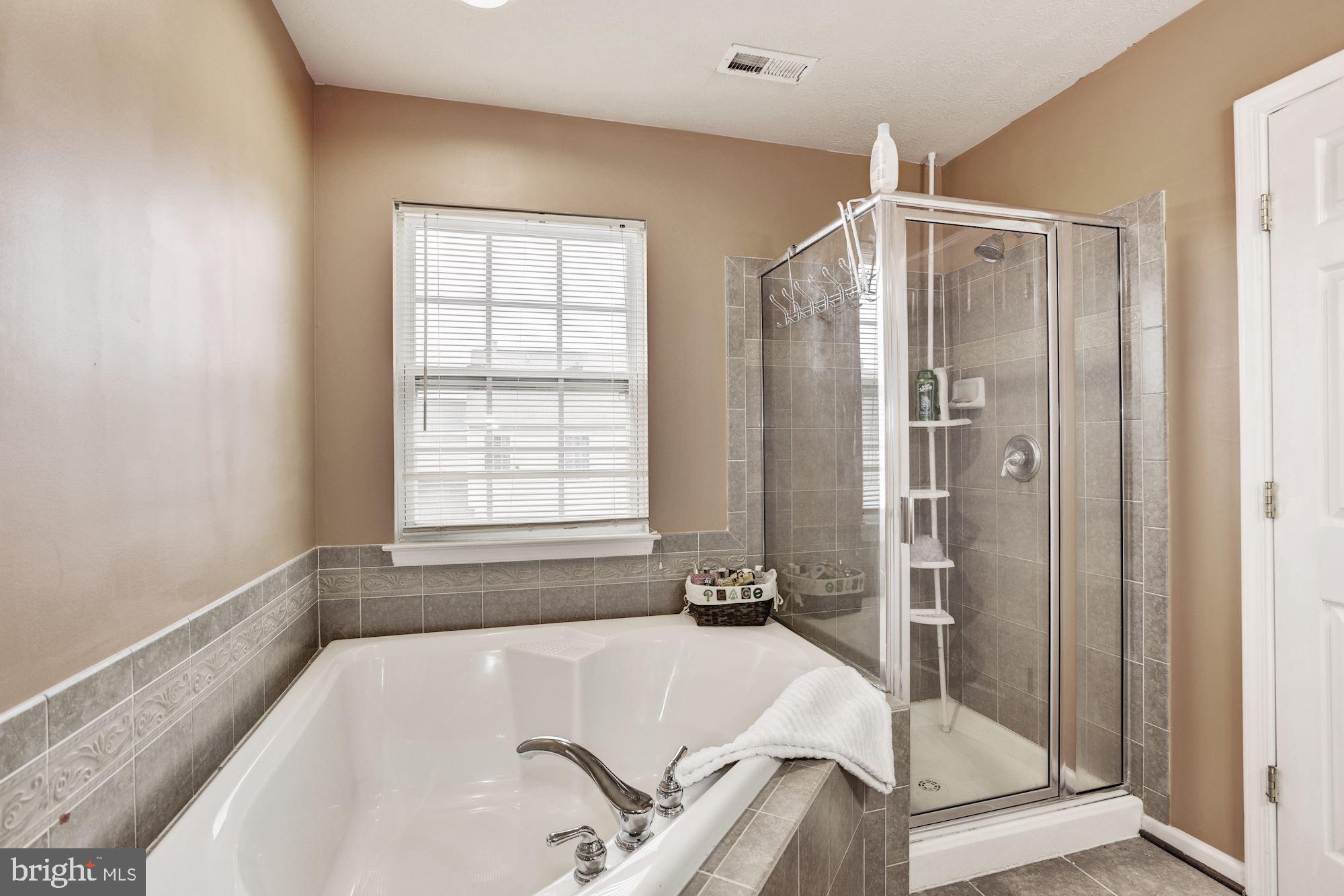 9812 Davison Road Baltimore, MD 21220 - Photo 17 of 28 Master Suite Bath