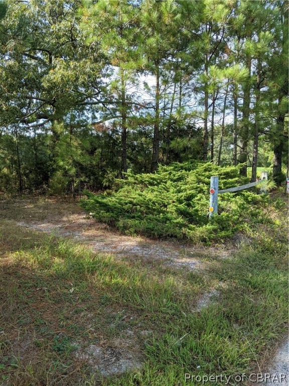 0 Willis Road Gloucester, VA 23061 - Photo 2 of 4
