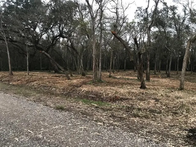 a view of outdoor space with trees