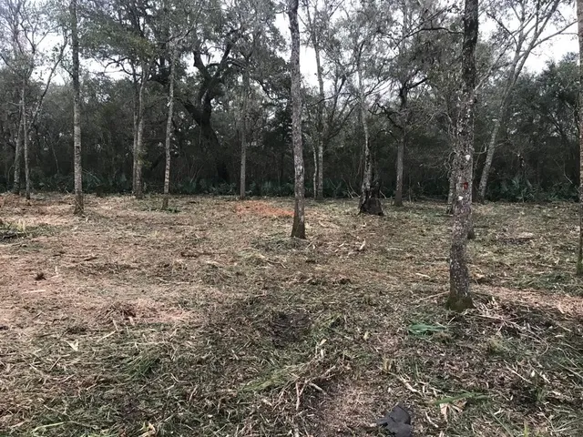 a view of outdoor space with trees