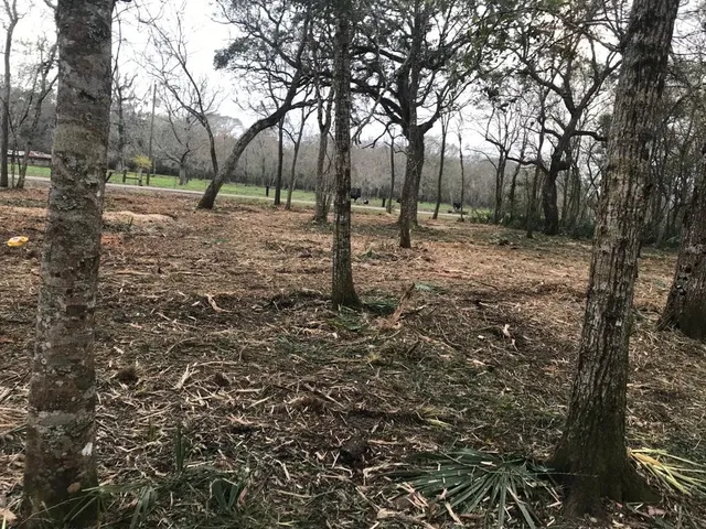 a view of outdoor space with trees