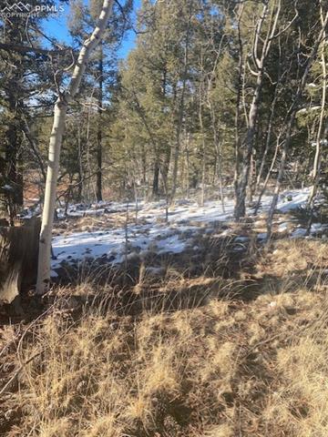 585 Princess Road Cripple Creek, CO 80813 - Photo 5 of 9 Gallery Image 5