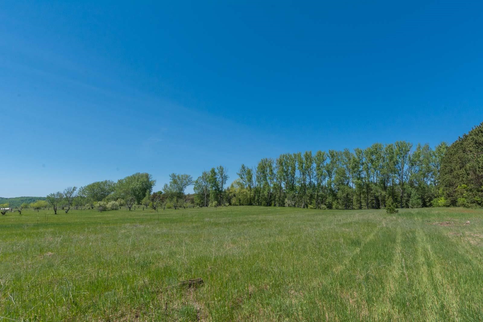 0 West Ryant Road Maple City, MI 49664 - Photo 15 of 25