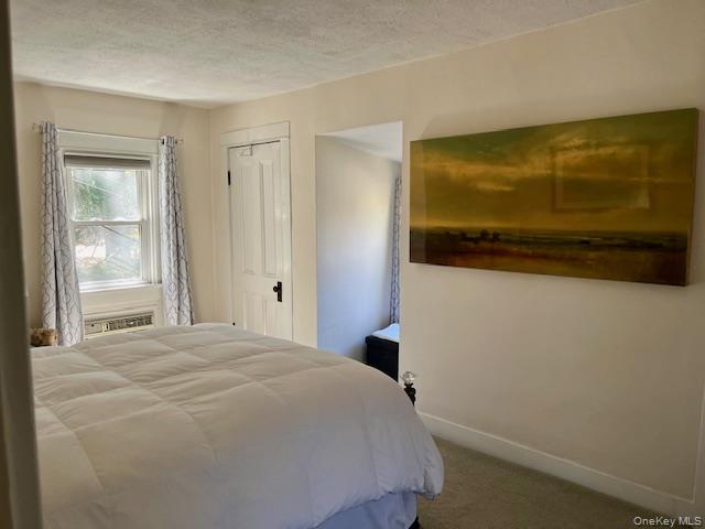 47 Mine Hill Road Cornwall, NY 12518 - Photo 16 of 45 a bedroom with a bed and a flat screen tv
