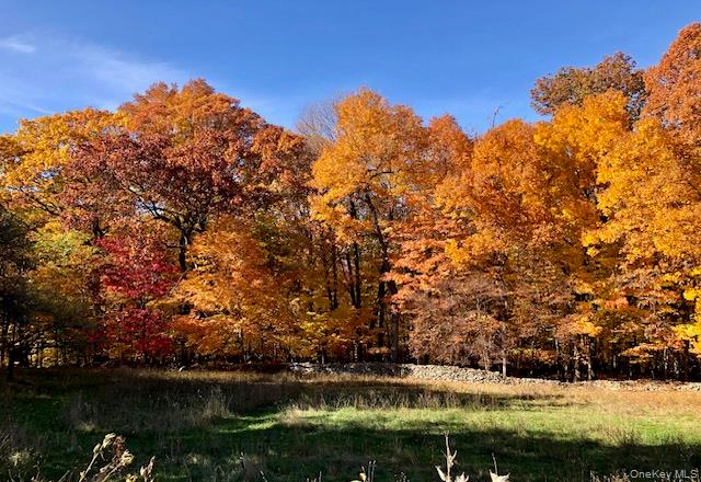 47 Mine Hill Road Cornwall, NY 12518 - Photo 36 of 45 a view of lake