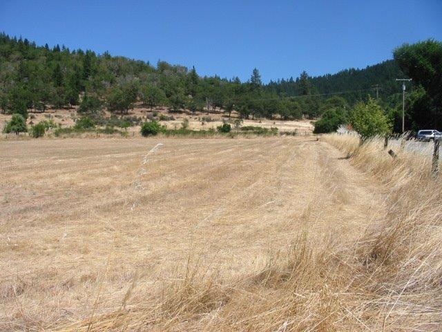 1240 Panther Gulch Road Williams, OR 97544 - Photo 8 of 25 Additional Photo