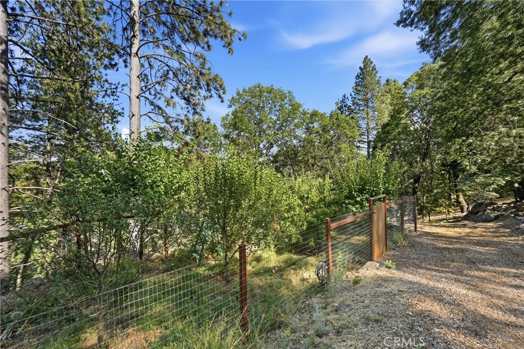 11240 Loch Lomond Road Middletown, CA 95461 - Photo 49 of 54