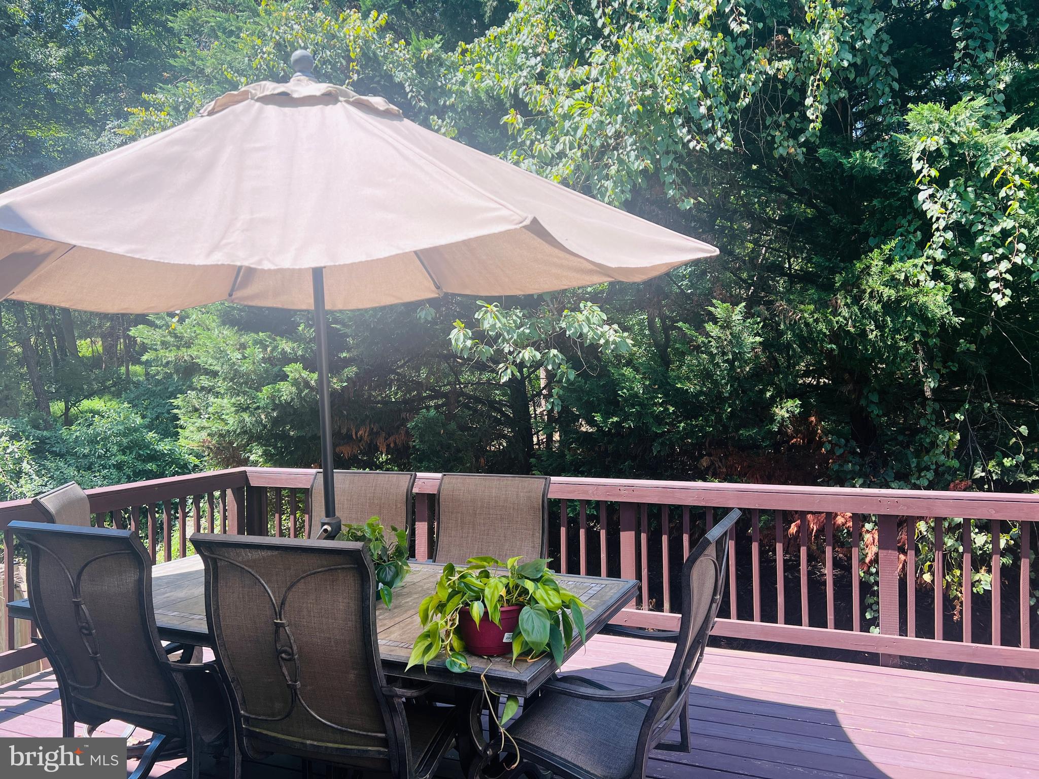 6007 Newport Lane Frederick, MD 21701 - Photo 3 of 25 Back deck