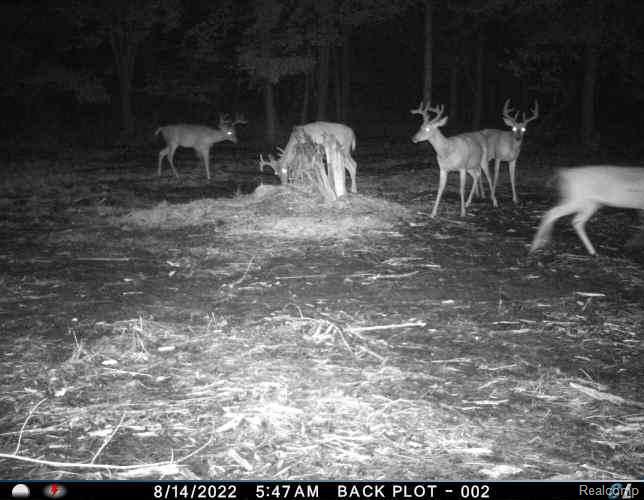 0 Ripple Way White Lake, MI 48383 - Photo 48 of 48 T_00007.JPG