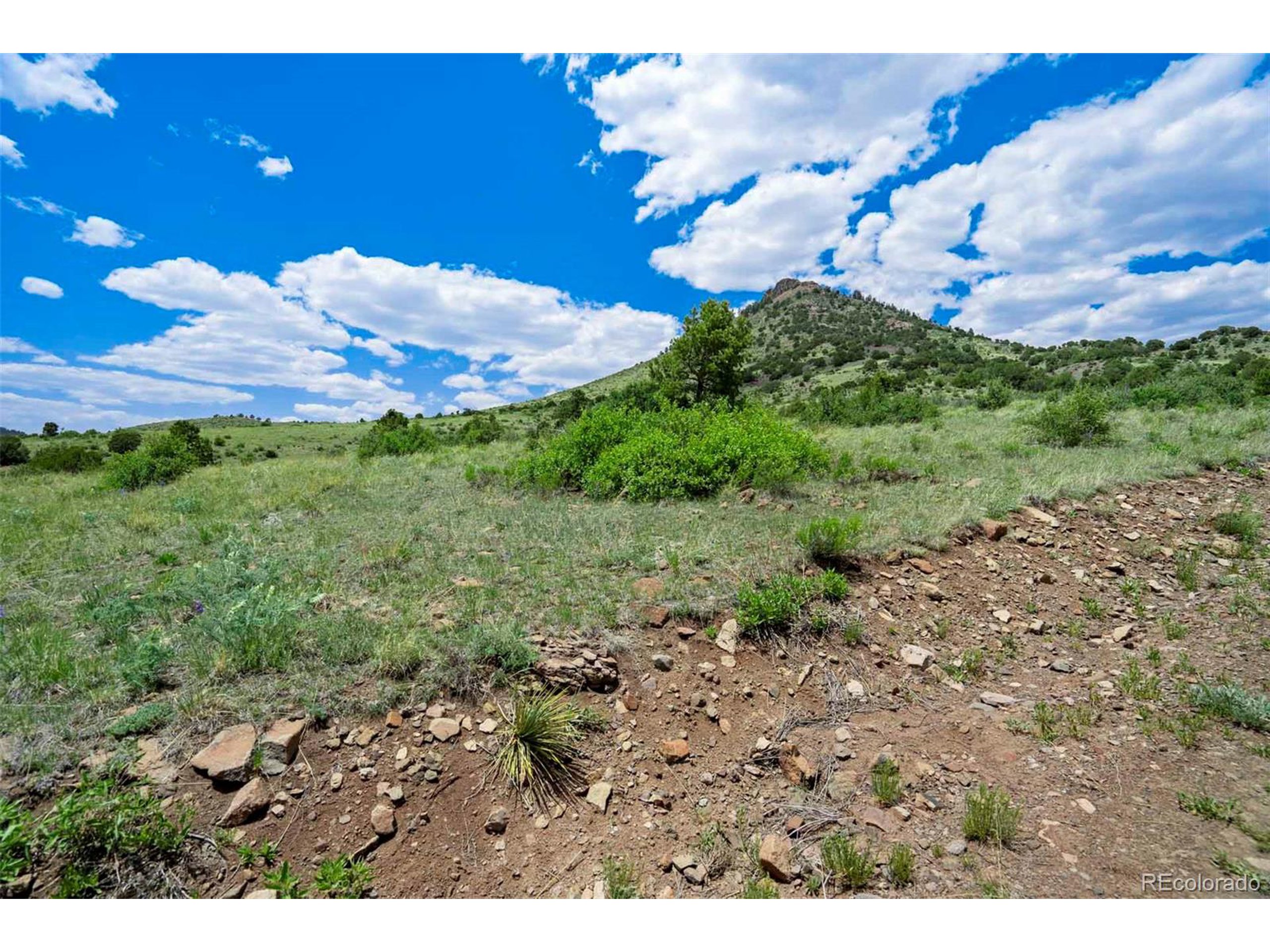 3 County Road 102 Guffey, CO 80820 - Photo 15 of 16 a view of a big yard with lots of green space