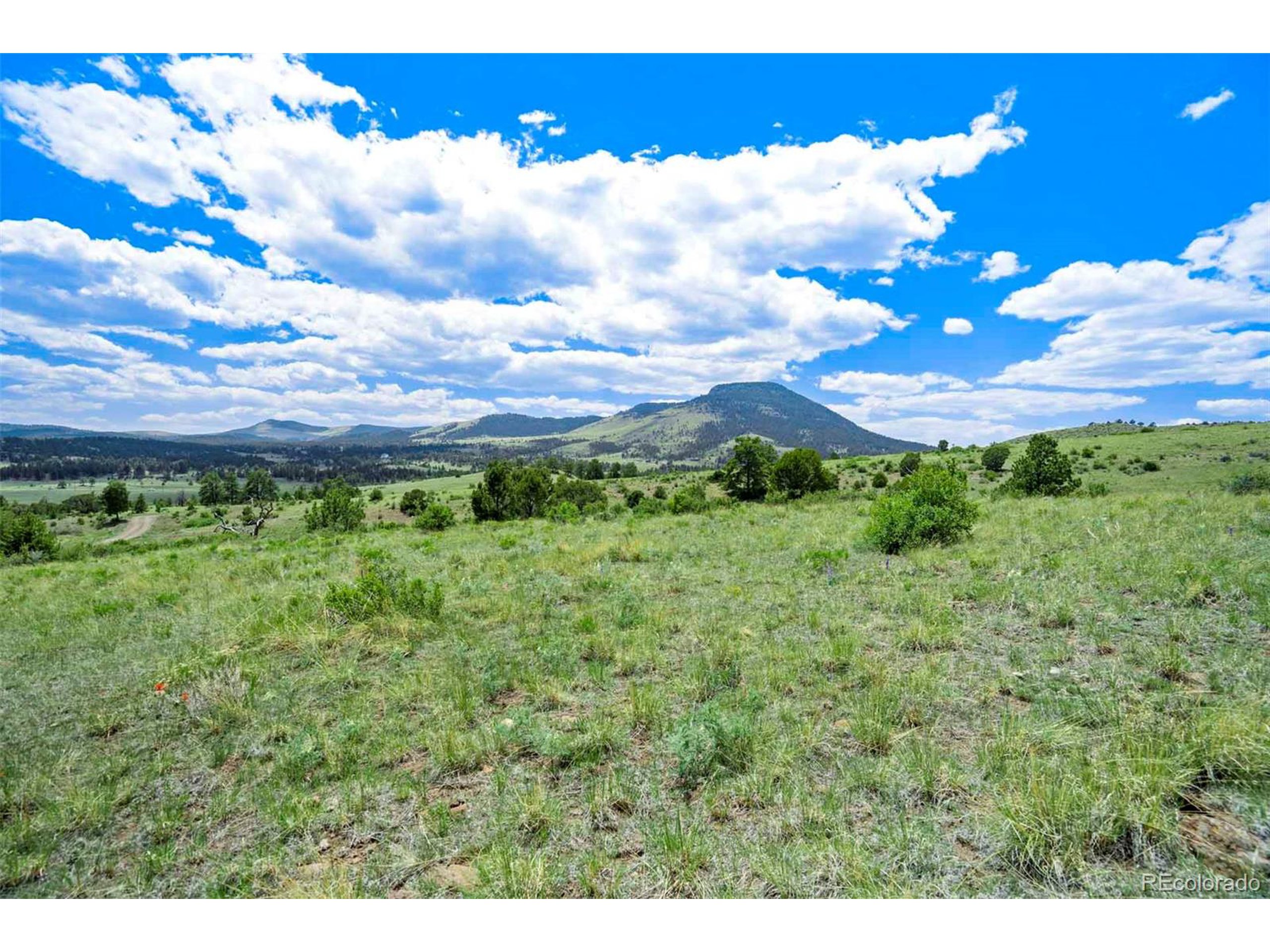 3 County Road 102 Guffey, CO 80820 - Photo 2 of 16 a view of a yard