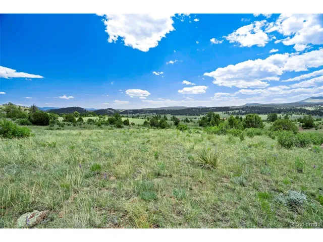 a view of a yard with an tree