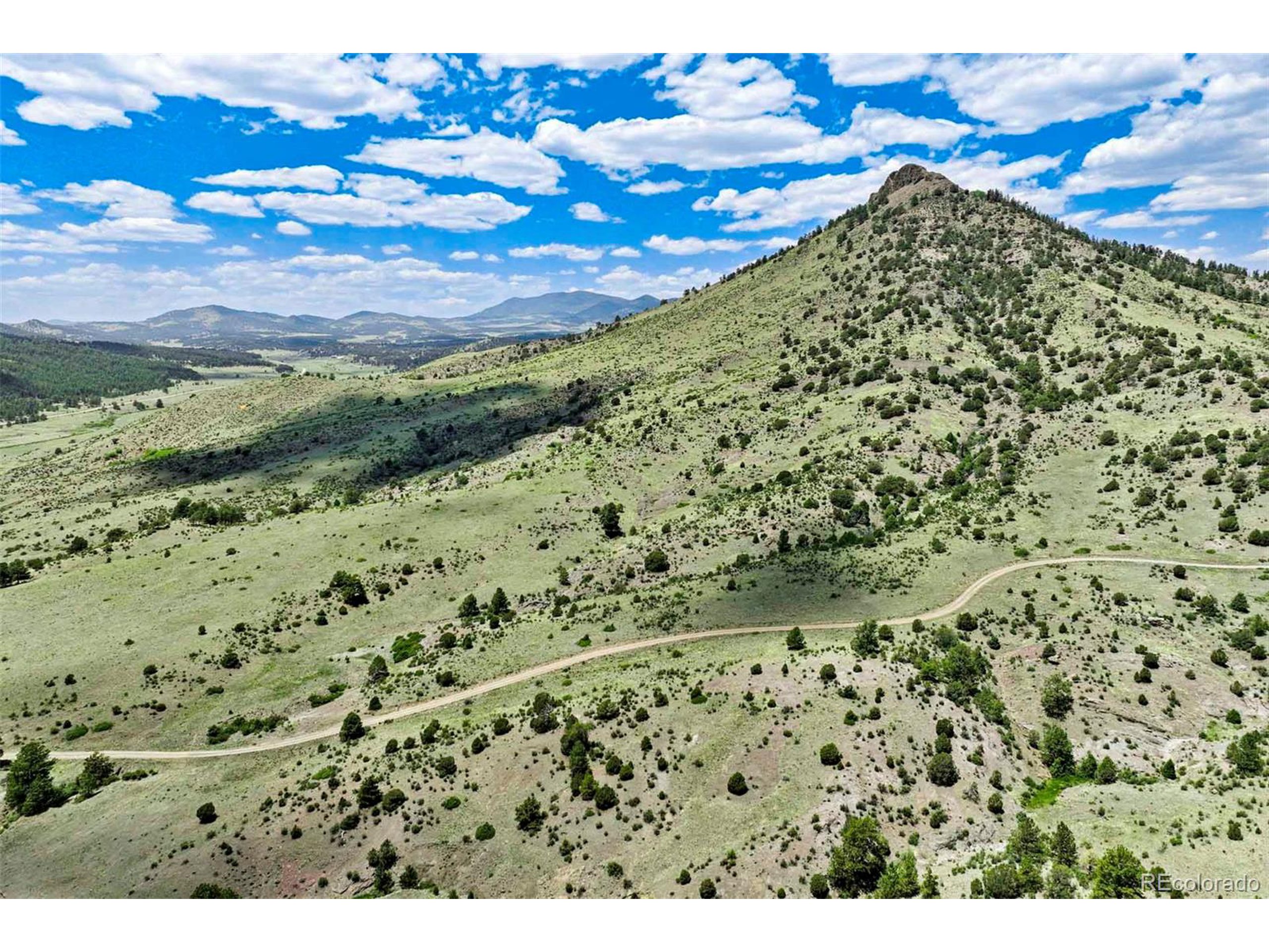 3 County Road 102 Guffey, CO 80820 - Photo 6 of 16