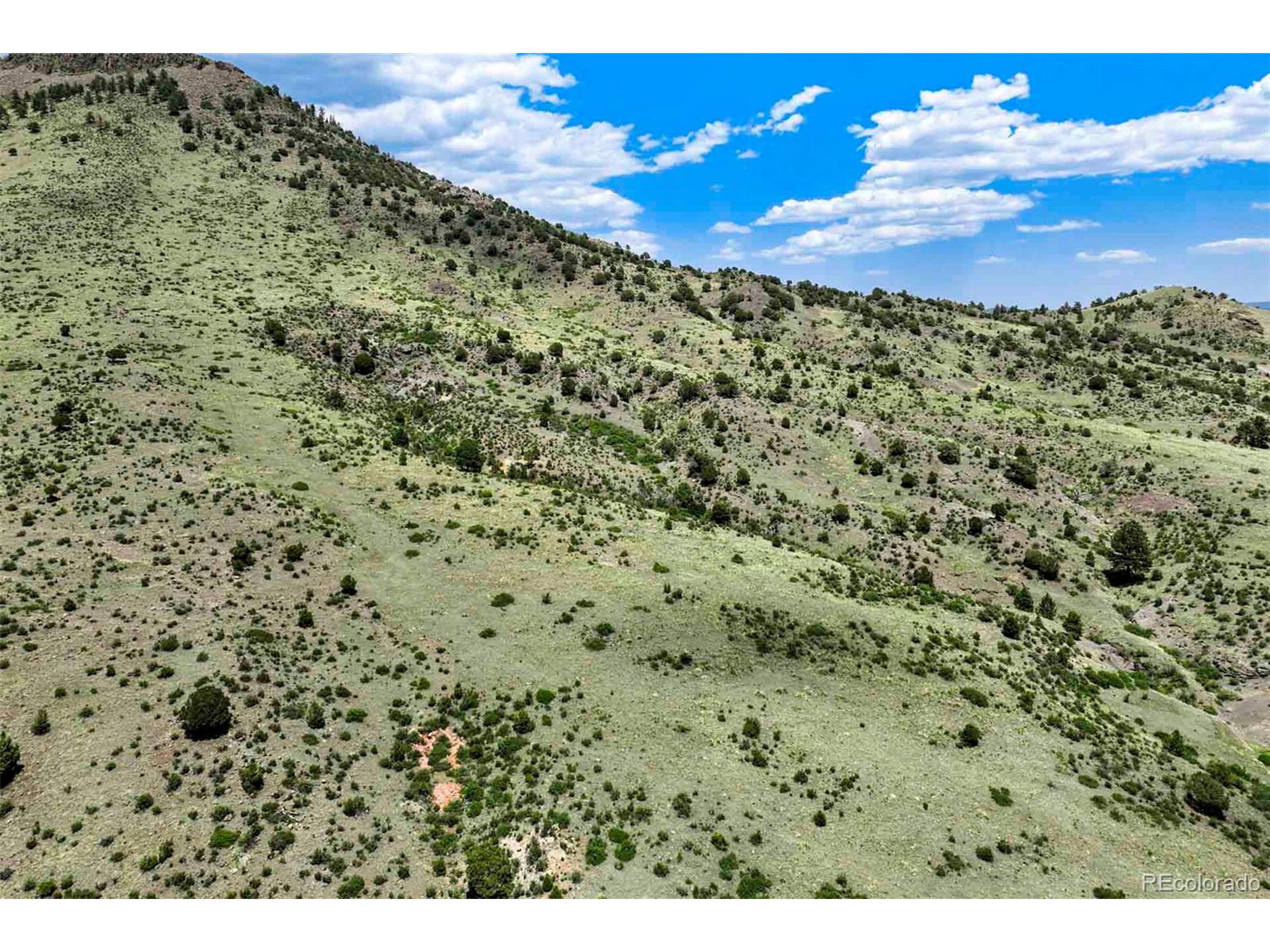 3 County Road 102 Guffey, CO 80820 - Photo 10 of 16 a view of a yard with an outdoor space