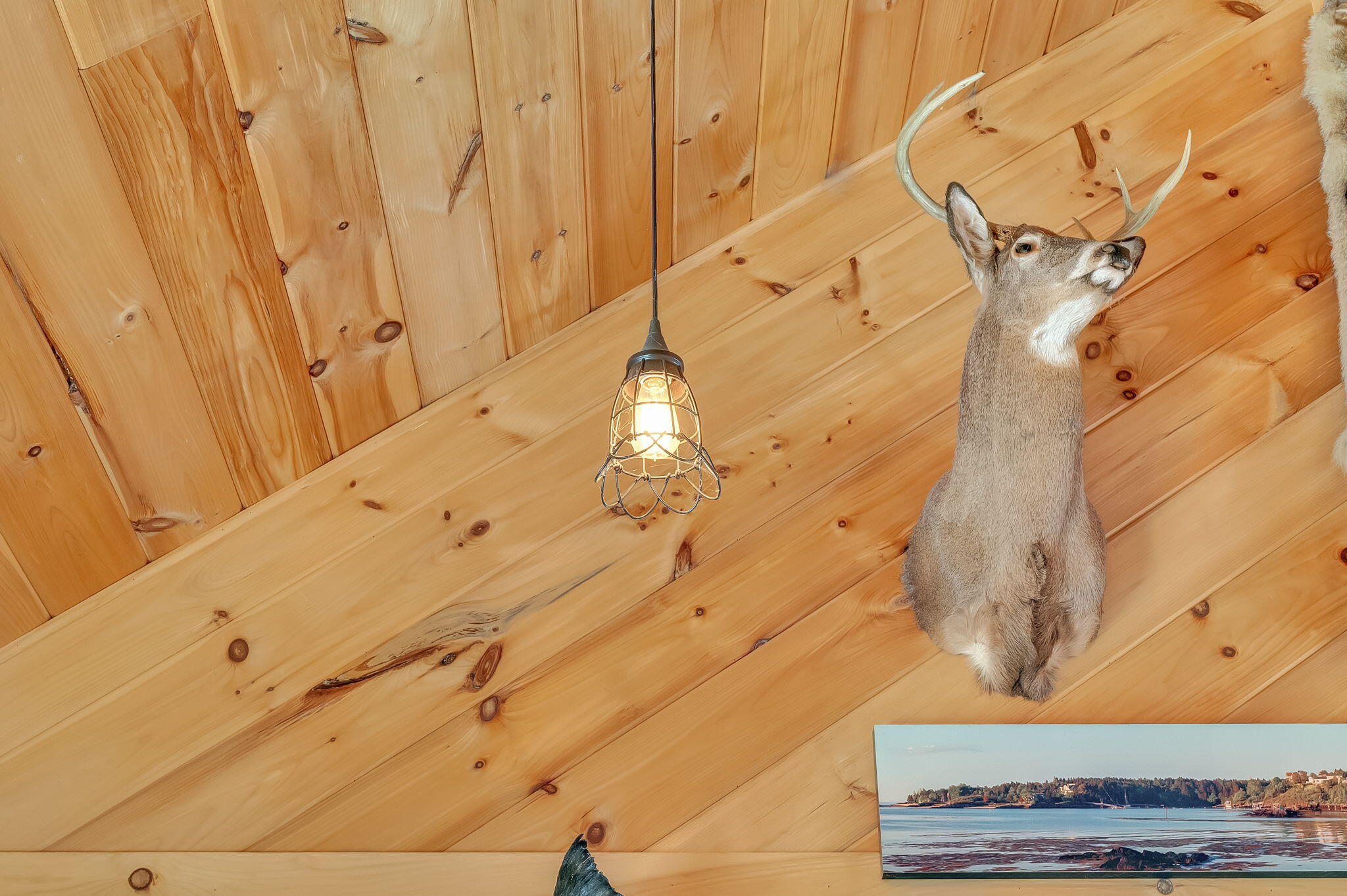 204 Pierce Hill Road Moscow, ME 04920 - Photo 36 of 49 19-web-or-mls-204-pierce-hill-rd