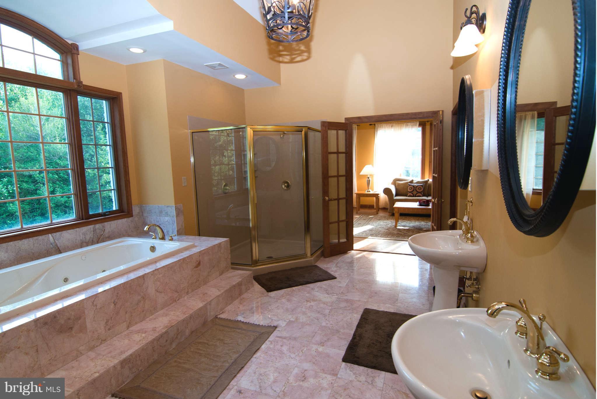 13238 Granview Road King George, VA 22485 - Photo 20 of 30 Bath (Master)