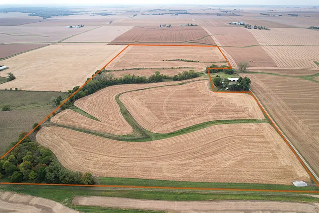a white building with trees in the background